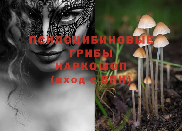 экстази Абаза